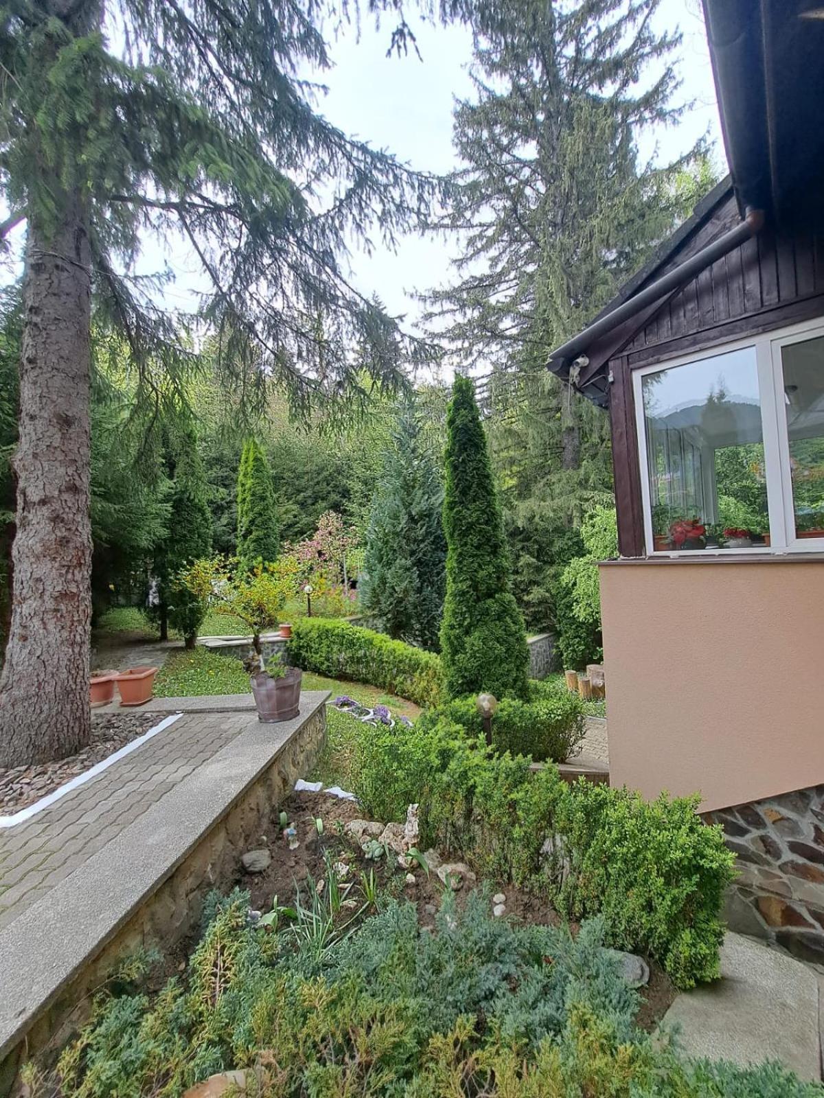 Pensiunea Colina Poiana Brasov Extérieur photo