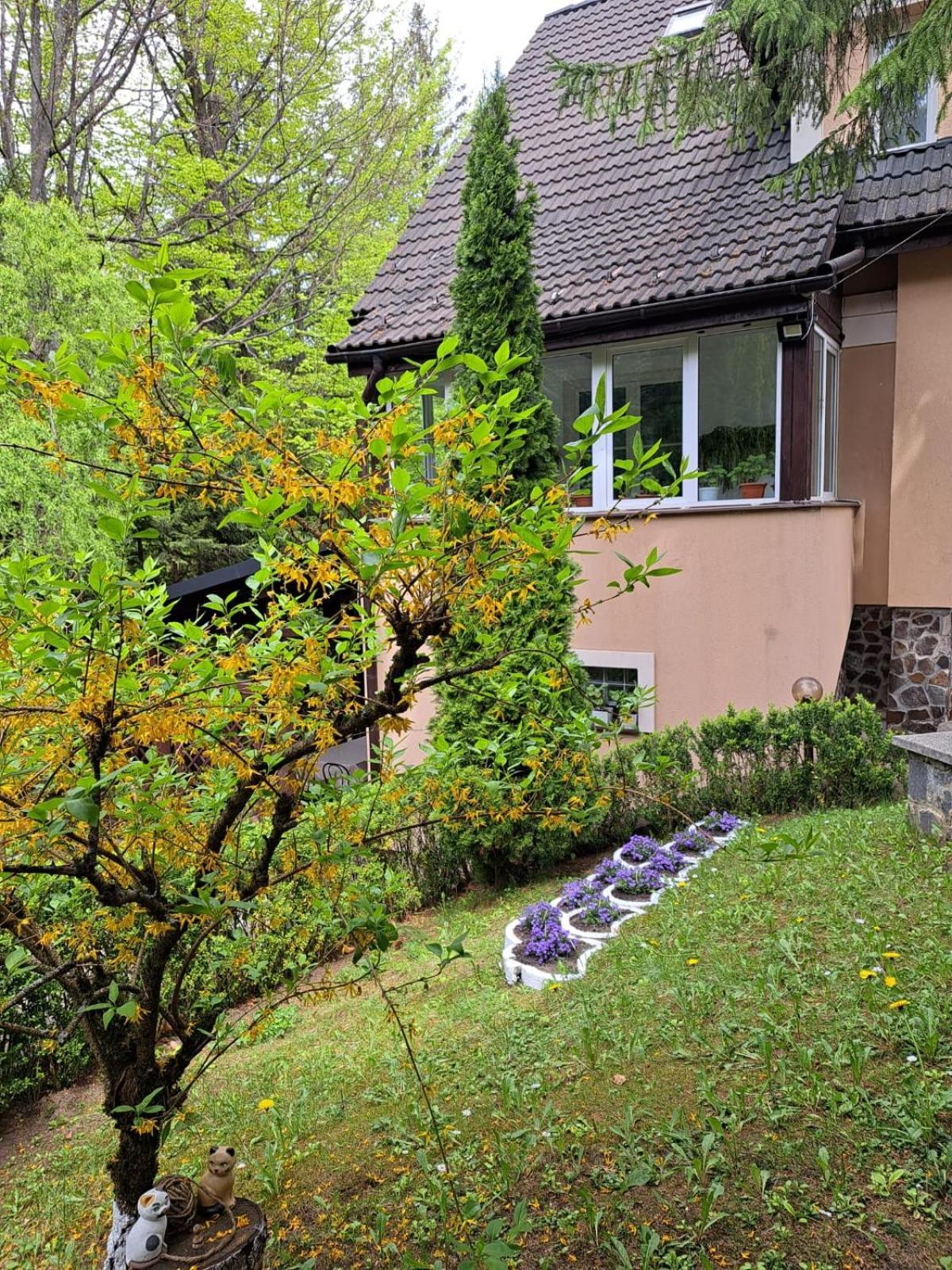 Pensiunea Colina Poiana Brasov Extérieur photo