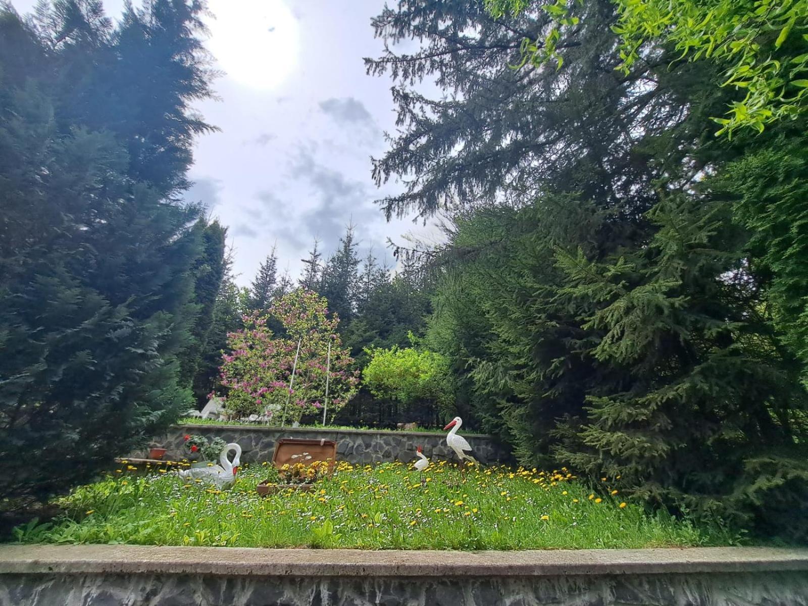 Pensiunea Colina Poiana Brasov Extérieur photo