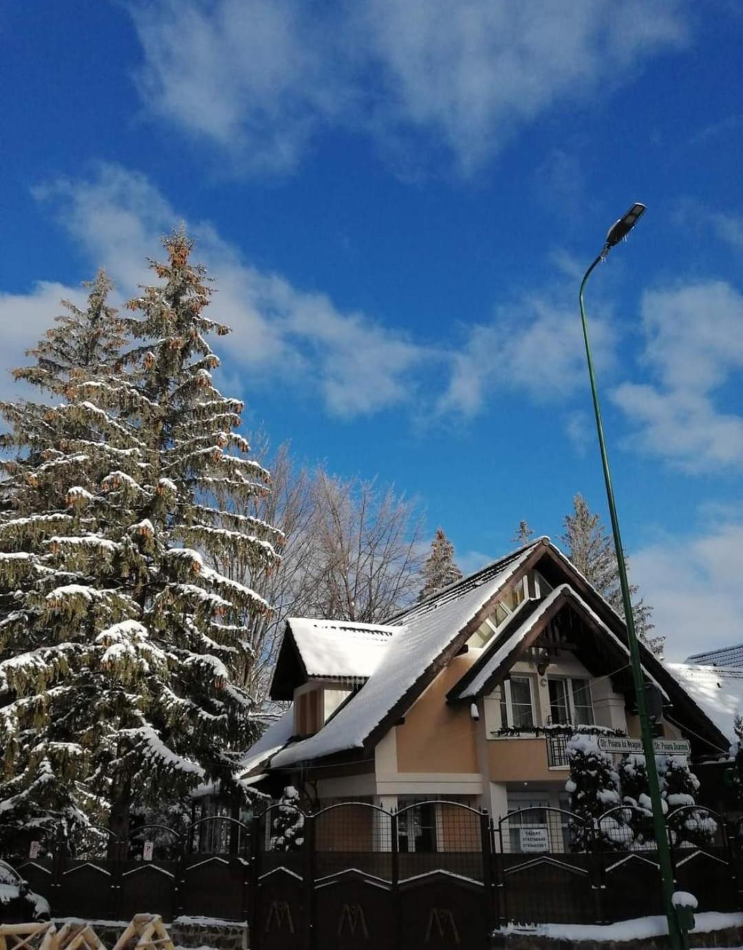 Pensiunea Colina Poiana Brasov Extérieur photo