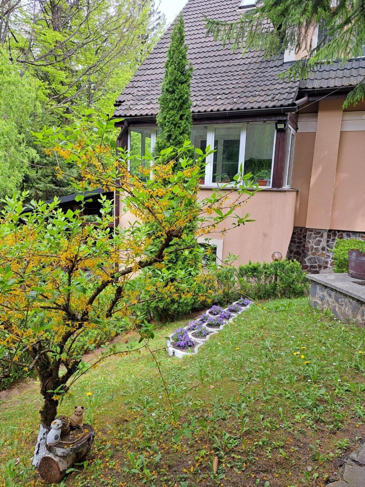 Pensiunea Colina Poiana Brasov Extérieur photo