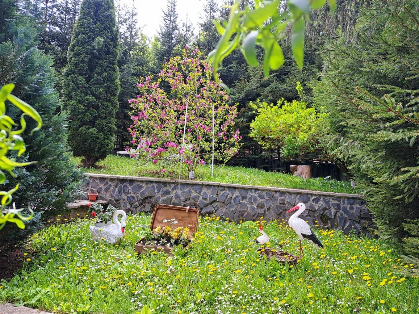 Pensiunea Colina Poiana Brasov Extérieur photo