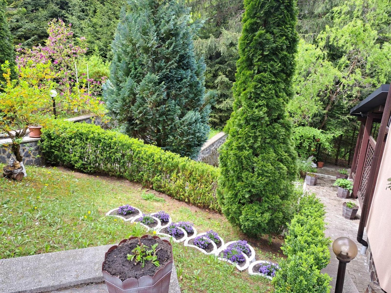 Pensiunea Colina Poiana Brasov Extérieur photo