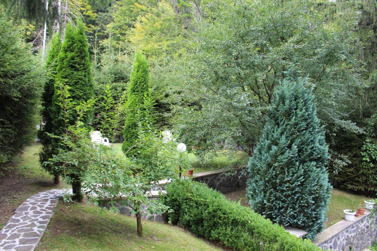 Pensiunea Colina Poiana Brasov Extérieur photo