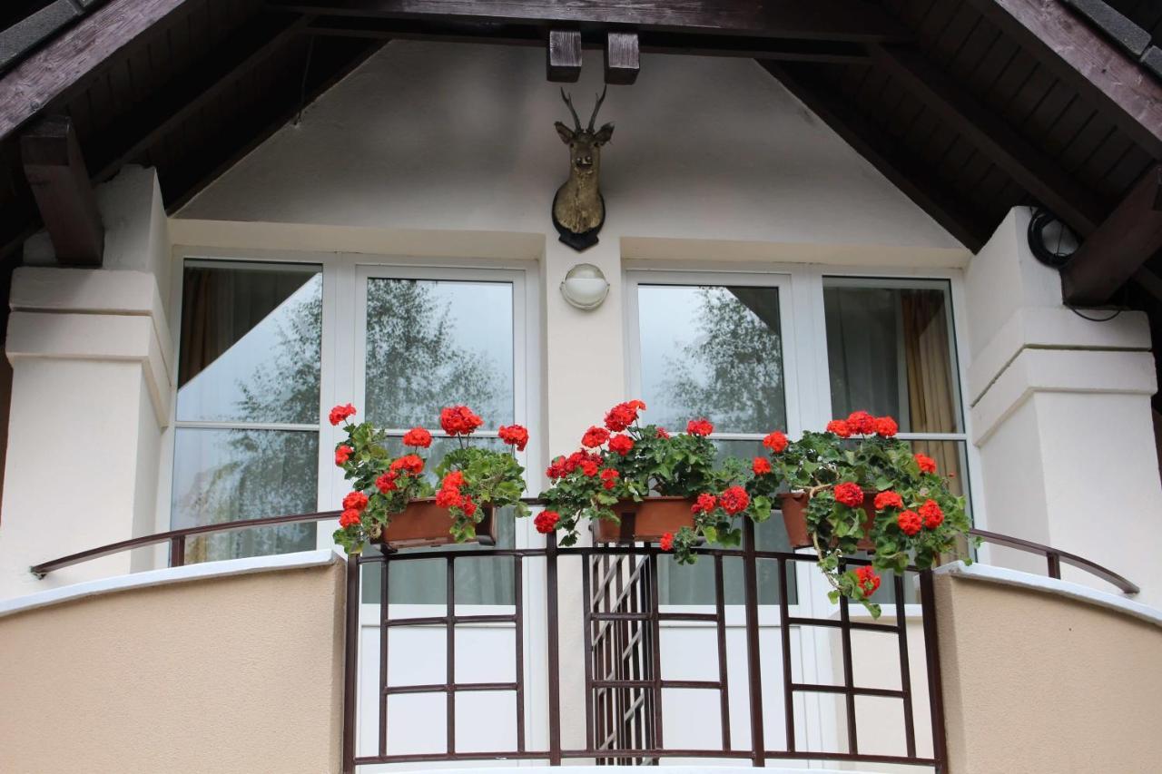 Pensiunea Colina Poiana Brasov Extérieur photo