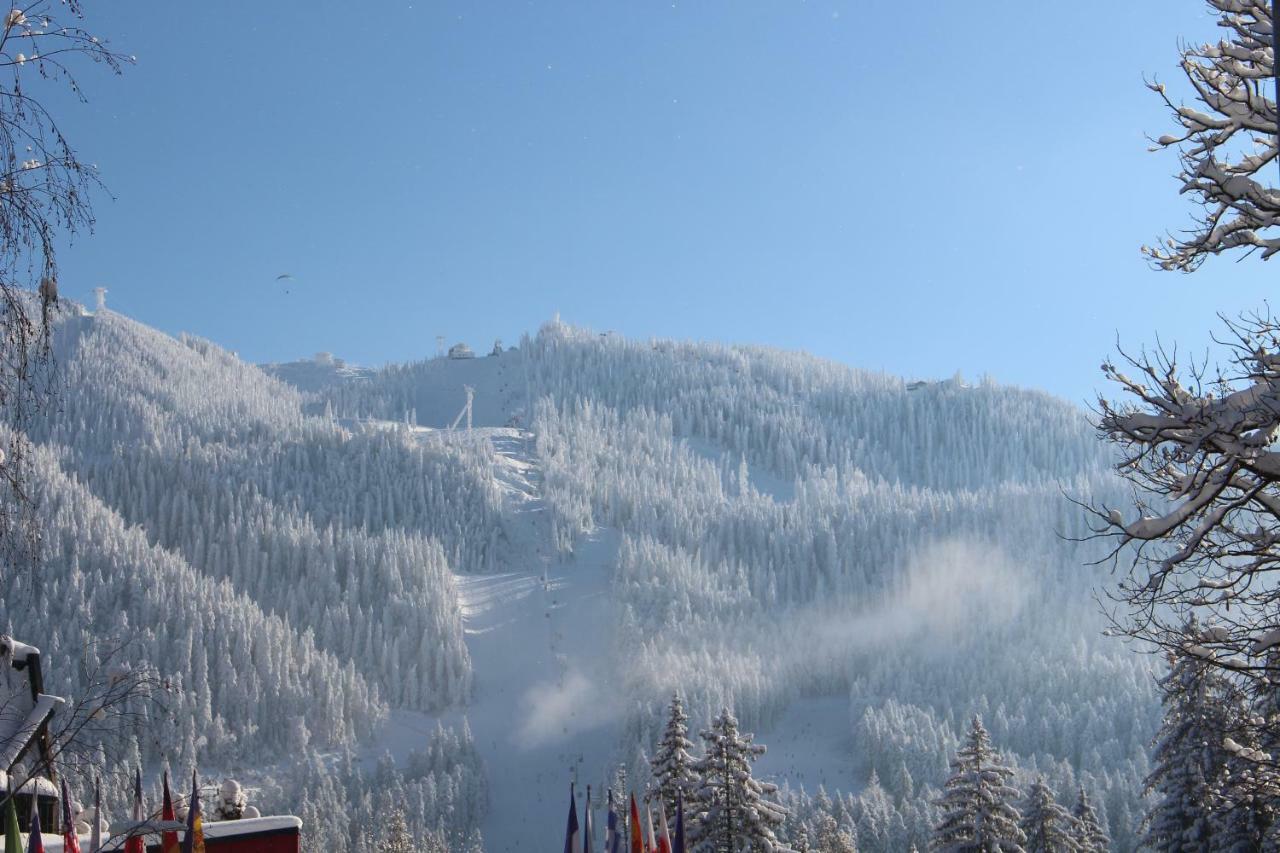 Pensiunea Colina Poiana Brasov Extérieur photo